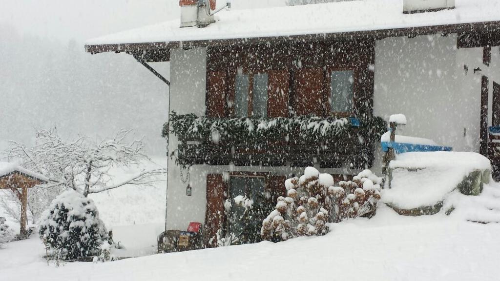 Chalet Monica Molina di Ledro Bagian luar foto